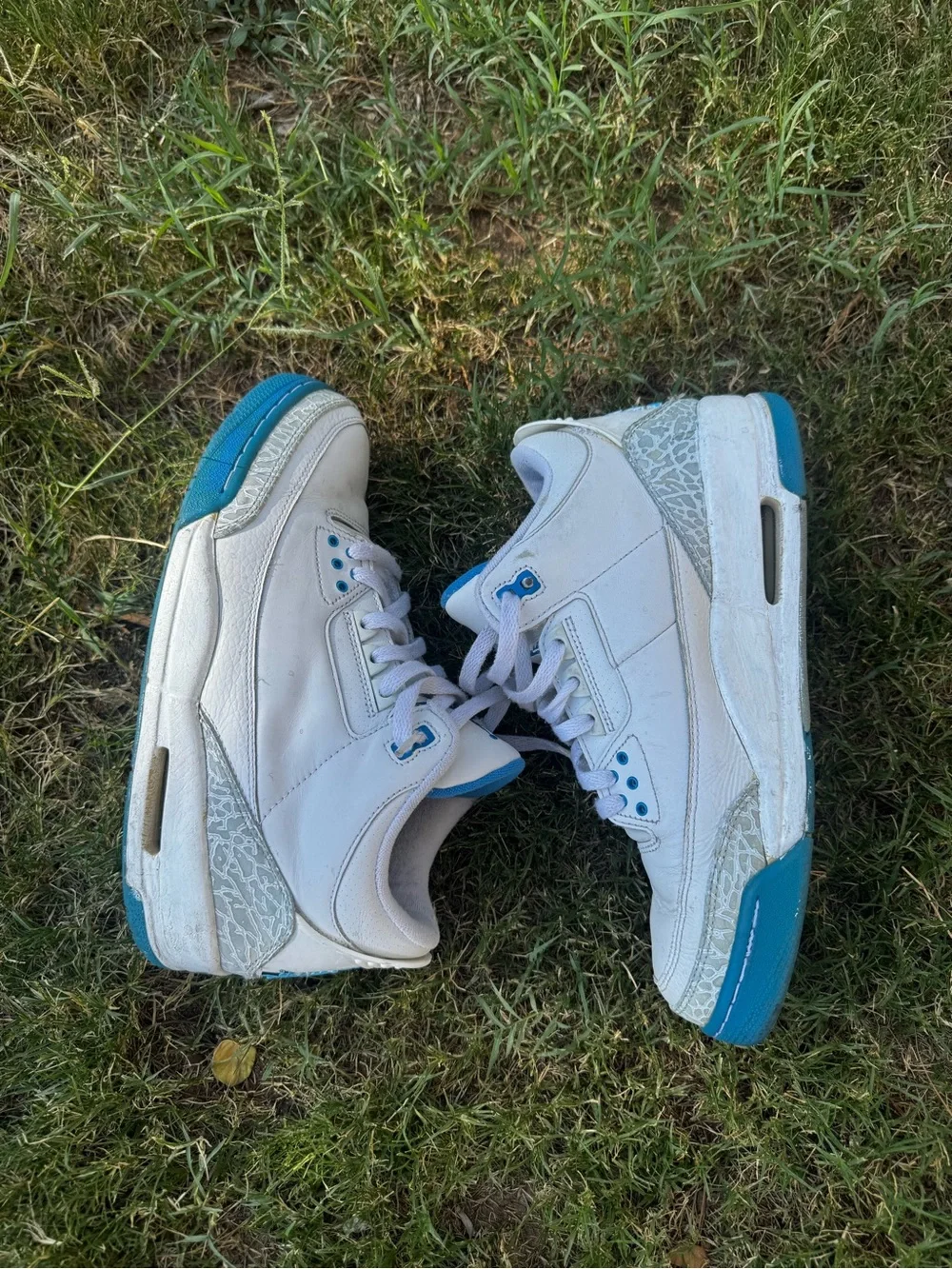 Jordan nike 3s